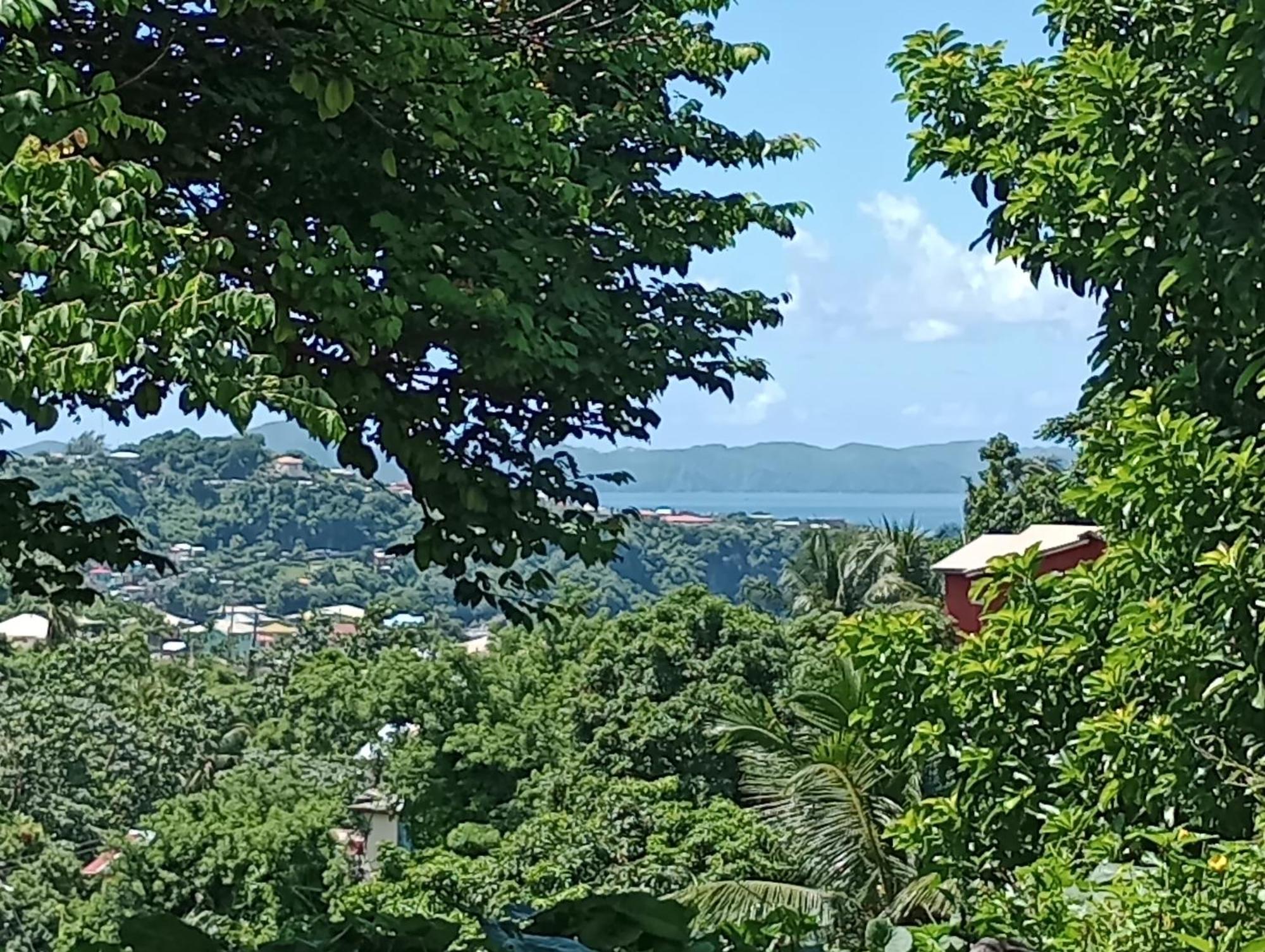 Garifuna Retreat Apartment Kingstown Exterior photo