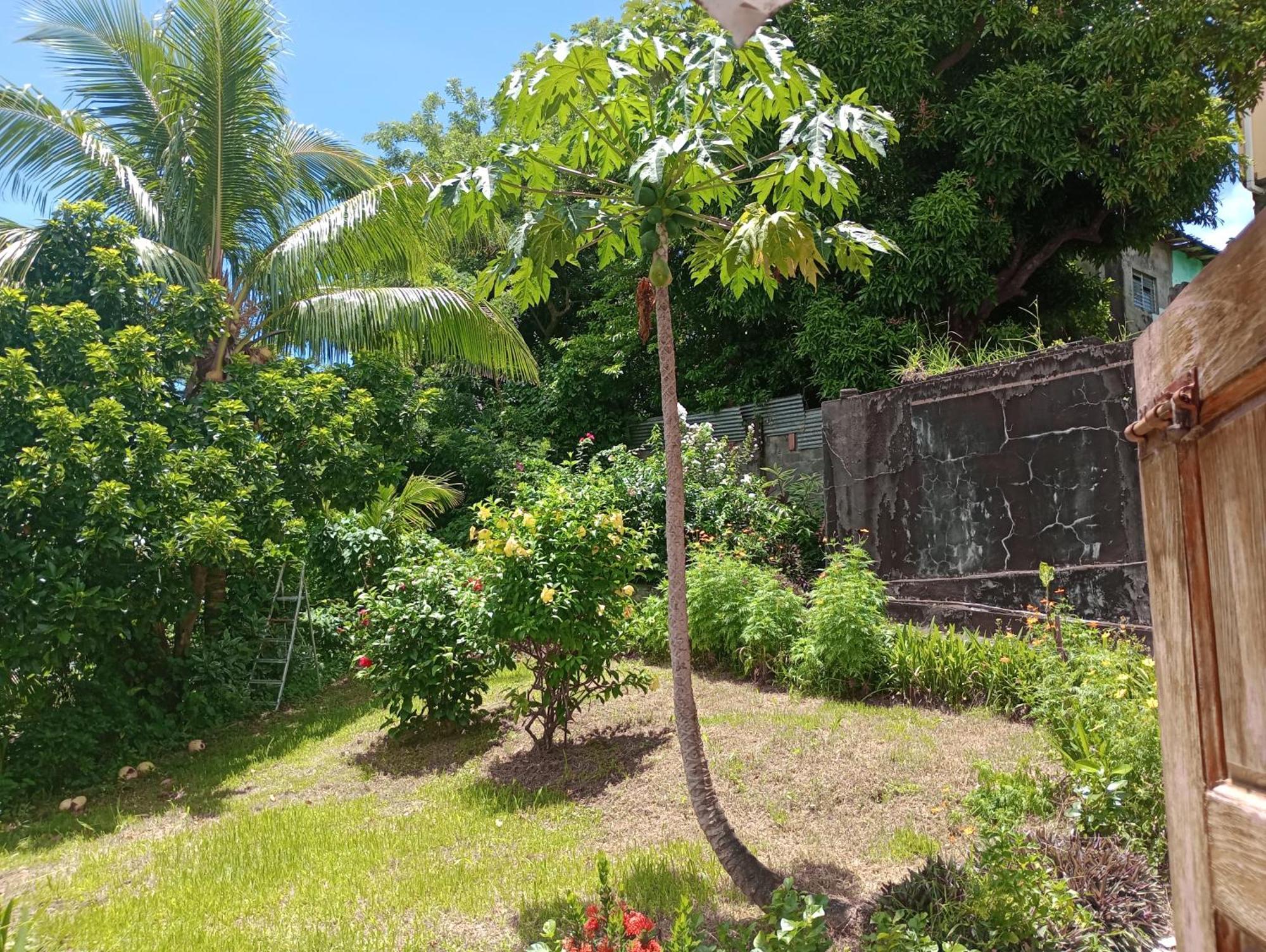 Garifuna Retreat Apartment Kingstown Exterior photo